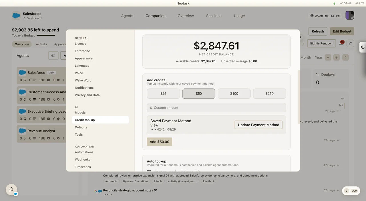 Credit top-up settings with balance, purchase amounts, and saved payment method