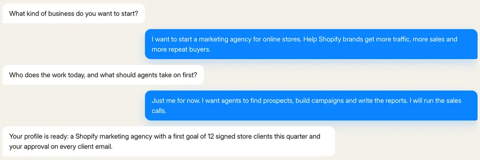 The Neotask brainstorm chat where the founder describes a marketing agency for online stores that sell on Shopify.