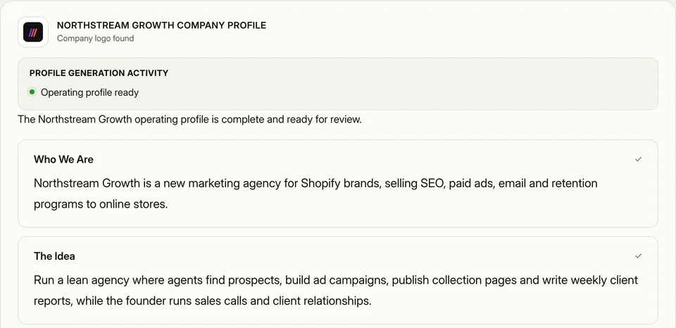 The generated Northstream Growth company profile with its logo, Who We Are and The Idea sections.